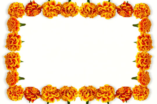 marigold flower frame for indian gujarati hindu religious,marriage invitation,diwali,new year,ganesh chaturthi,festival related concept background