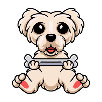 Cute maltese puppy dog cartoon holding a bone