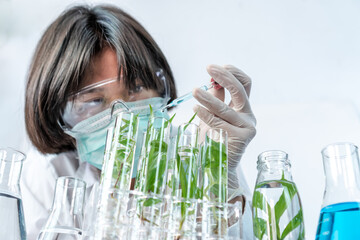 Sientist work with plant in test tubes in laboratory.