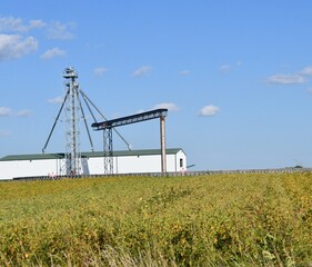 Grain Elevator in a Farm Field