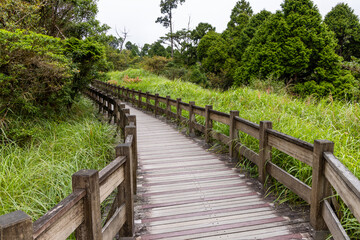 Wooden path in hiking train on mountain