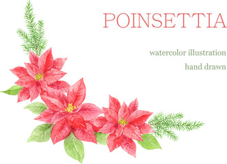 Watercolor painting of poinsettia corner decoration 