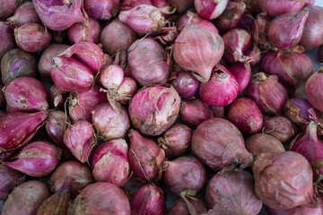 Top view of red onion or shallot, suitable for web landing page