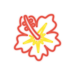 hibiscus flower neon signboard