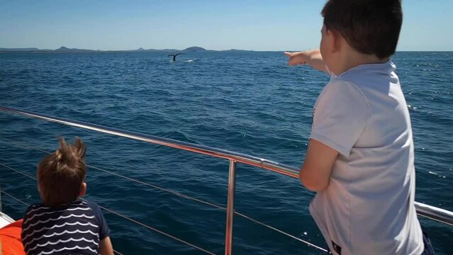 Excited child points to whale fin as it dives into the ocean. Sunshine Coast.