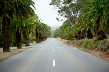 Obraz premium Barossa Valley - South Australia