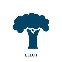 beech icon from nature collection. Filled beech, oak, birch glyph icons isolated on white background. Black vector beech sign, symbol for web design and mobile apps