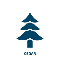 Fototapeta premium cedar icon from nature collection. Filled cedar, tree, plant glyph icons isolated on white background. Black vector cedar sign, symbol for web design and mobile apps