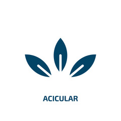 Obraz premium acicular icon from nature collection. Filled acicular, nature, tree glyph icons isolated on white background. Black vector acicular sign, symbol for web design and mobile apps