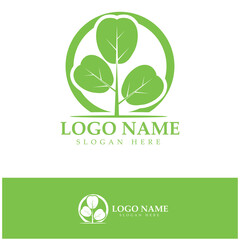 green moringa leaf logo, for herbal ingredients, moringa farming, health, medicine industry, beauty, therapy, concept design vector illustration icon template with a modern concept