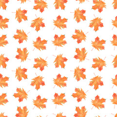 Watercolor seamless pattern with autumn maple leaves on a white background