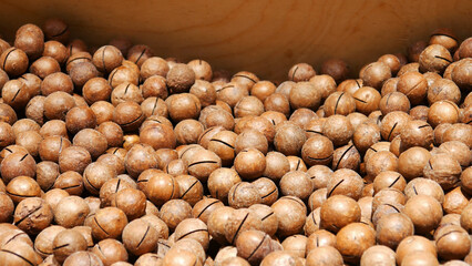 A large pile of beautidul macadamia nuts