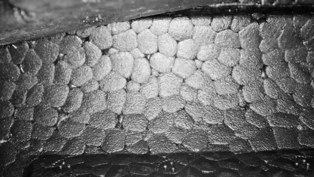 Pulling away from the bottom of a Styrofoam molded packaging container. Wide angle macro of the many textures, lines and patterns. Bottom of box gives way to parallel to camera view raised segments.