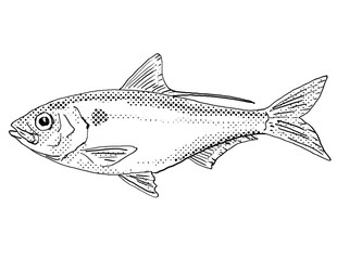 Cartoon style line drawing of a threadfin shad or Dorosoma petenense  a freshwater fish endemic to North America with halftone dots shading on isolated background in black and white.