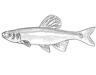Cartoon style line drawing of a whitetail shiner or Cyprinella galactura a freshwater fish endemic to North America with halftone dots shading on isolated background in black and white.