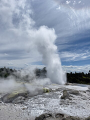 Geyser erupting into the sky at a geothermal park in Rotorua, New Zealand