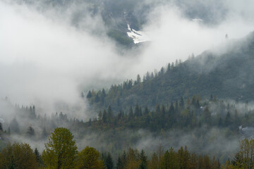 Foggy landscape in Glacier Bay National Park