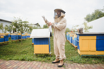 Beekeeper is working with bees and beehives on apiary. Bees on honeycomb. Frames of bee hive....