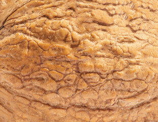 Walnuts as a background top view. Fresh Walnut kernels closeup
