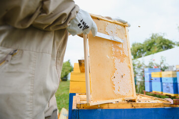 Beekeeping, beekeeper at work, bees in flight.