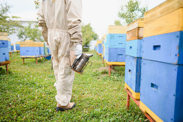 Beekeeping, beekeeper at work, bees in flight.