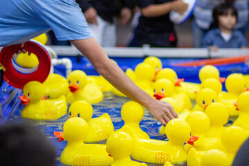 Rubber ducks in a carnival game
