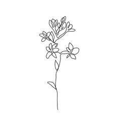 Continuous Line Drawing Of Plant Black Sketch of Flowers Isolated on White Background. Flower One Line Illustration for Minimalist Design. Vector EPS 10. 