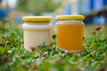 jar of fresh honey in a glass jar. Beekeeping concept. Top view. Copy space.