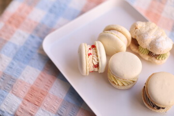 delicious macaroons sweet dessert yummy