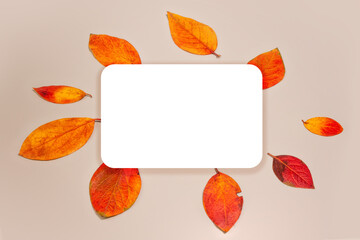 a white card with autumn leaves on a neutral background. autumn mood. winter is coming soon. winter is coming. free space for text. postcard.