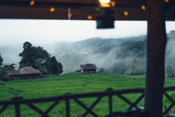 View of the rice fields from the hut