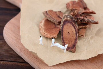 Miniature creative Chinese herbal medicine and doctor's treatment