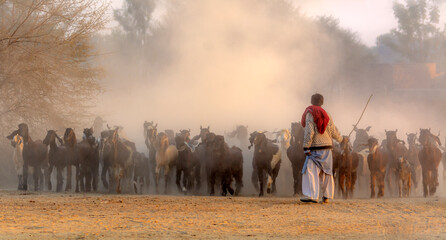 shepherds with flock of sheep , sheep herd with shepherds in the dust 