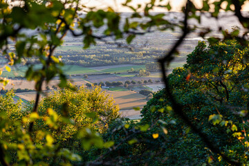 Ausblick auf die Lichtung