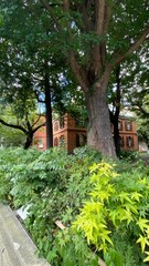 Beautiful campus of the University of Tokyo Fine Arts, year 2022 from the street of Tokyo walk