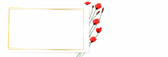 Background with the image of red poppy flowers, Background with red flowers.