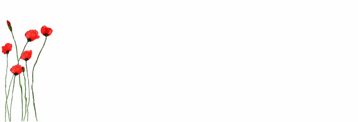 Background with the image of red poppy flowers, Background with red flowers.