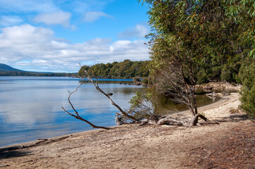 Fototapeta na wymiar Lake St Clair Australia, view along beach with reflections in water