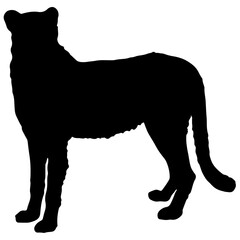 Safari animal silhouette