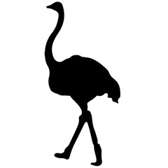 Safari animal silhouette