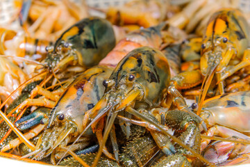raw shrimps in the table
