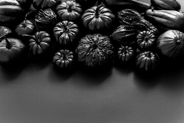 Fototapeta na wymiar Different kinds of mini pumpkins in all black colour placed black background with copy space