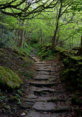 Obraz premium Hiking Trail Known as the Nun Steps