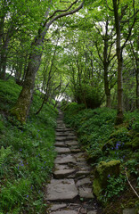 Obraz premium Iconic Nun Steps Along Coast to Coast Hike