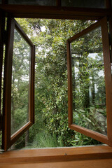 open window with wooden frame overlooking the green forest
