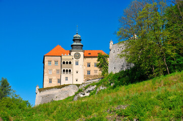 Fototapeta na wymiar Pieskowa Skala - limestone cliff and renaissance castle near Soluszowa village, Lesser Polan Voivodeship.