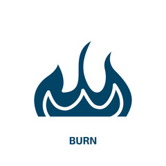 burn icon from nature collection. Filled burn, fire, hot glyph icons isolated on white background. Black vector burn sign, symbol for web design and mobile apps