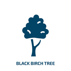 black birch tree icon from nature collection. Filled black birch tree, tree, branch glyph icons isolated on white background. Black vector black birch tree sign, symbol for web design and mobile apps