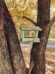 Bird feeder on a tree
