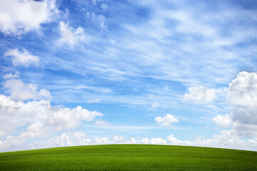 Fototapeta na wymiar Green field and blue sky with white clouds